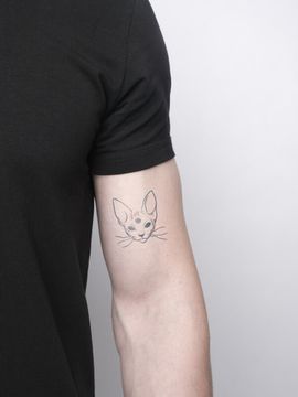 cat with third eye