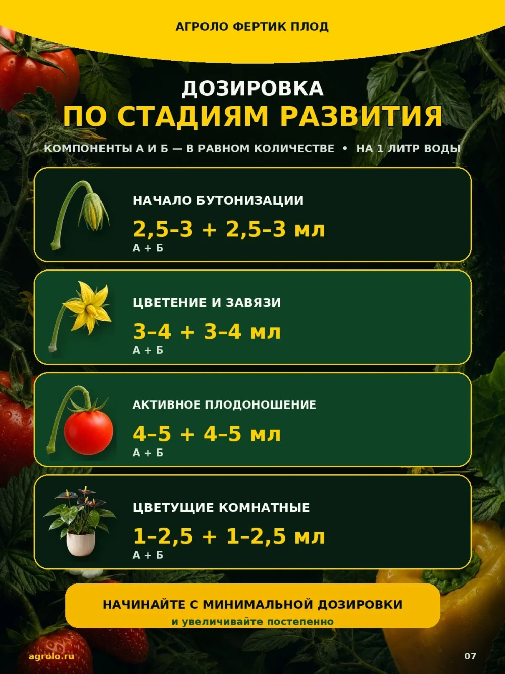 Питательный раствор АГРОЛО Фертик Плод A+B для цветения и плодоношения