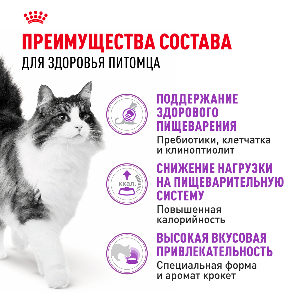 Royal Canin Sensible 33 Корм сухой сбалансированный для взрослых кошек с чувствительной пищеварительной системой - 2 кг
