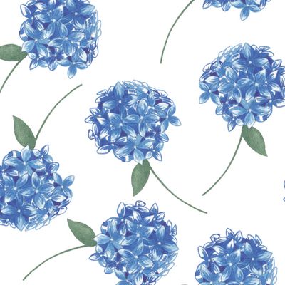 Синяя гортензия нарисованная акварелью