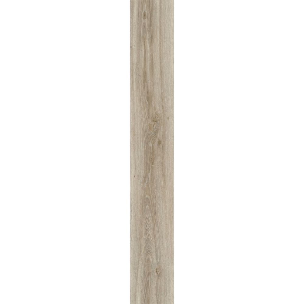 Blackjack Oak 22246
