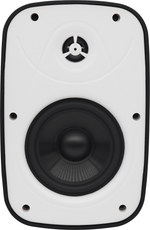 svs_paf-5w(4)_web_469459081.png