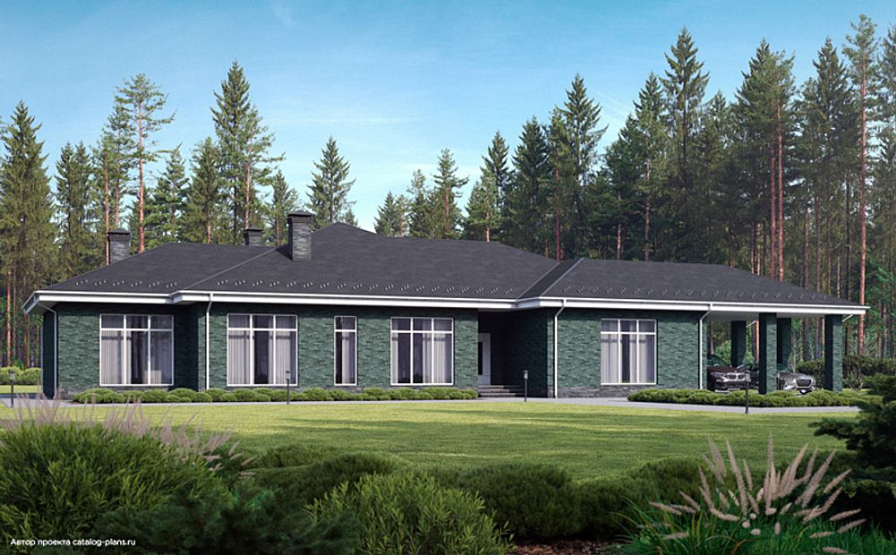 Кирпич облицовочный Plinfa Cassia 1613, 300x85x50