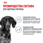 Royal Canin Maxi Digestive Care Макси Дайджестив кэа Корм сухой для взрослых собак больших размеров с чувствительным пищеварением 12кг
