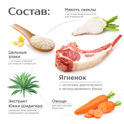 Корм сухой для взрослых собак средних пород, премиум полнорационный комплекс, для городских собак, с ягненком, 12 кг, QUATTRO