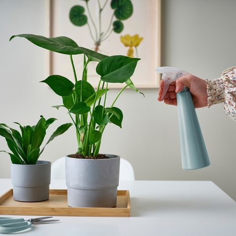 Пульверизатор IKEA TOMAT (ТОМАТ), Серо-голубой, 350 мл