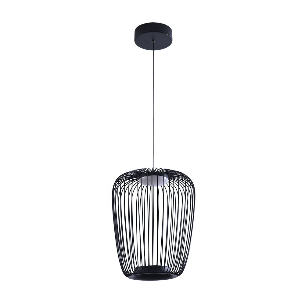 Светильник подвесной Arte Lamp Flare A3528SP-12BK