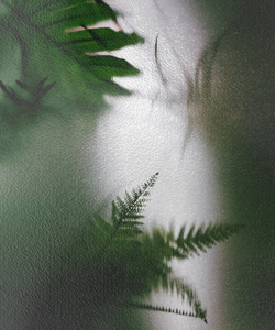 FRAME2019 12