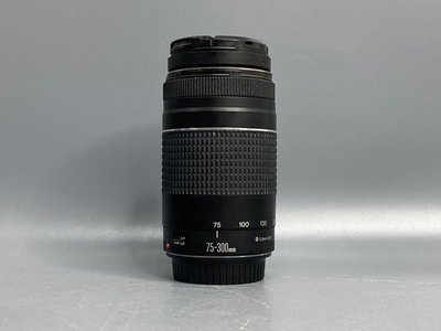 Canon EF 75-300mm f/4-5.6 III пыль внутри передней линзы