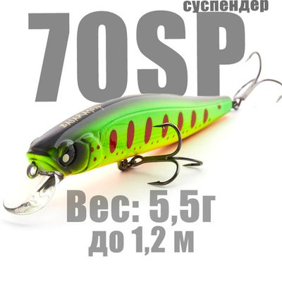 Basara 70SP