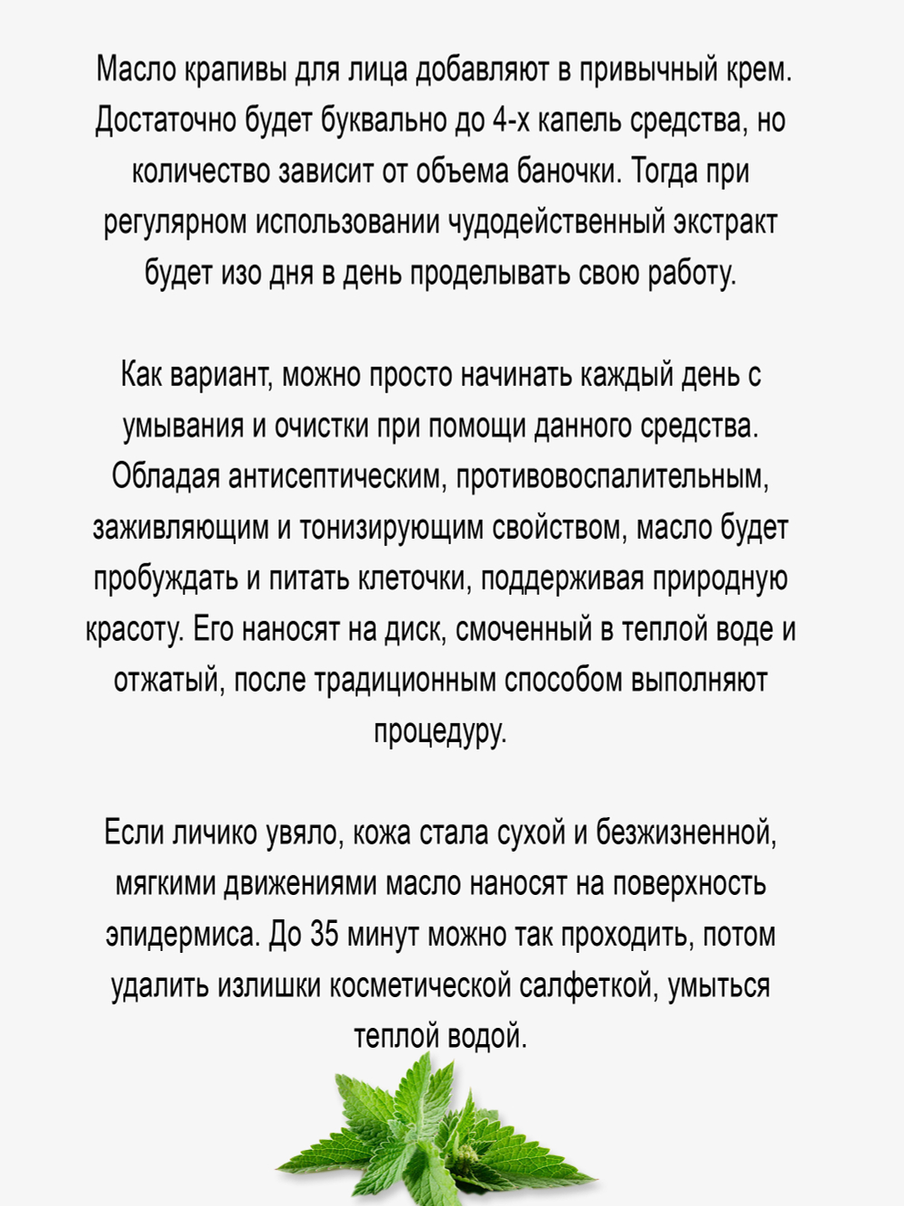 Масло крапивы (инфуз)