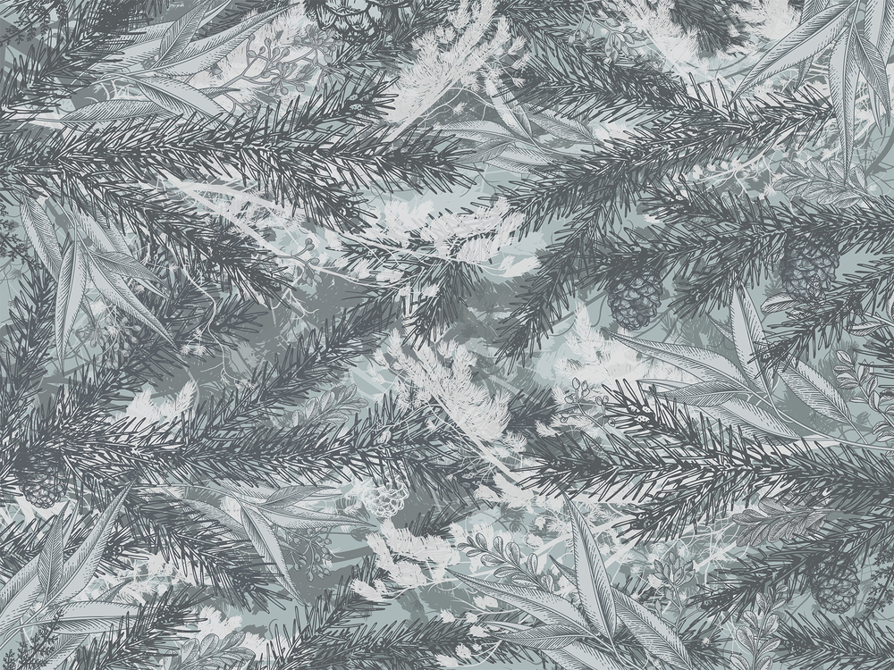 FOREST 8