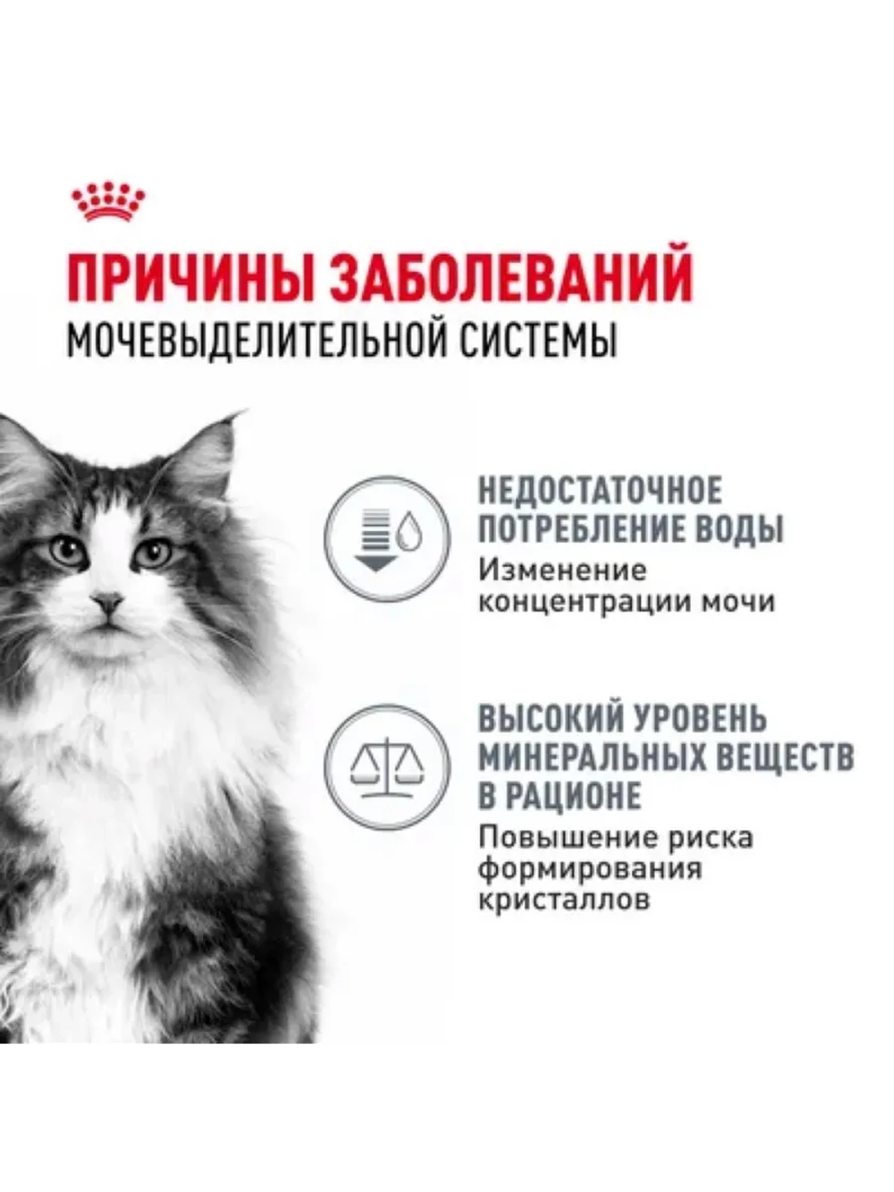Urinary Care пауч 85г*28шт Корм для кошек профилактика МКБ