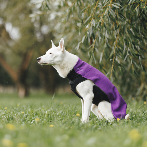 Флисовая кофта DOGLEA СПОРТ КОМФОРТ