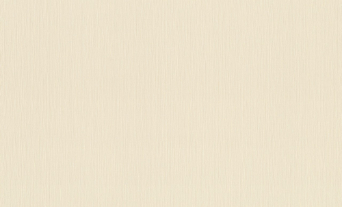 Rasch 1.06m*10m 981506 Unitex