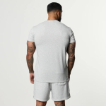 Футболка VANQUISH Academy T-Shirt Grey