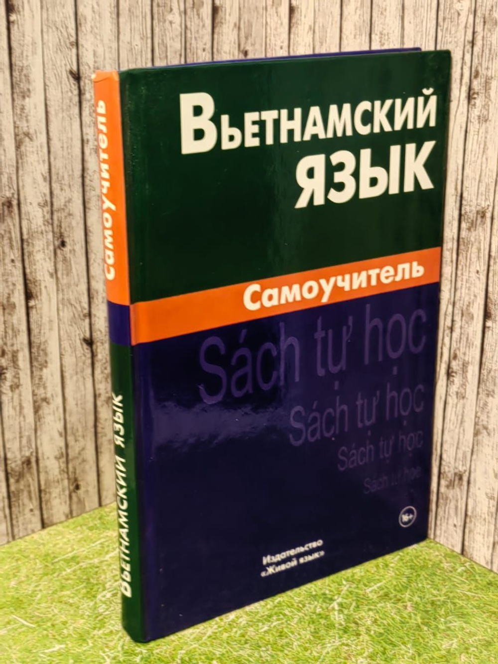 Вьетнамский язык. Самоучитель
