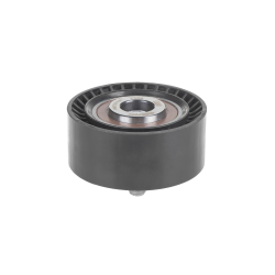 Ролик обводной приводного ремня BMW F10/F01/X5 III(F15)/X6(E71) mot.N55 GANZ GIE37564