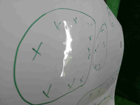 IMG_20260810_123101.JPG