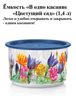 Набор контейнеров "В одно касание Летний луг" (575мл), 2шт.