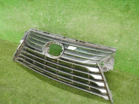 DSCN7574.jpg