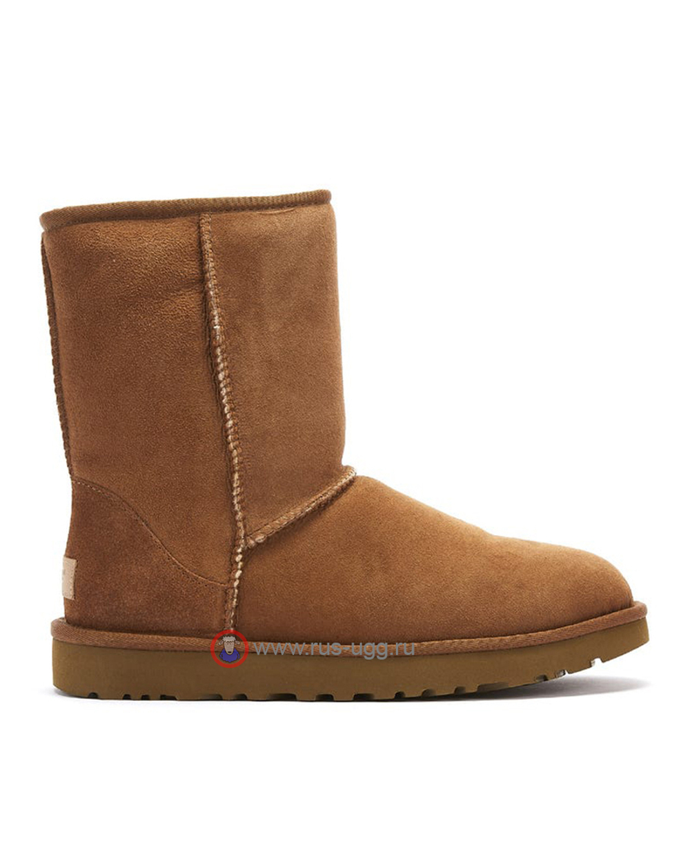 MEN'S CLASSIC SHORT II Chestnut