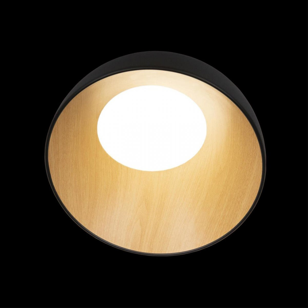 Потолочный светодиодный светильник Loft It Egg 10197/350 Black