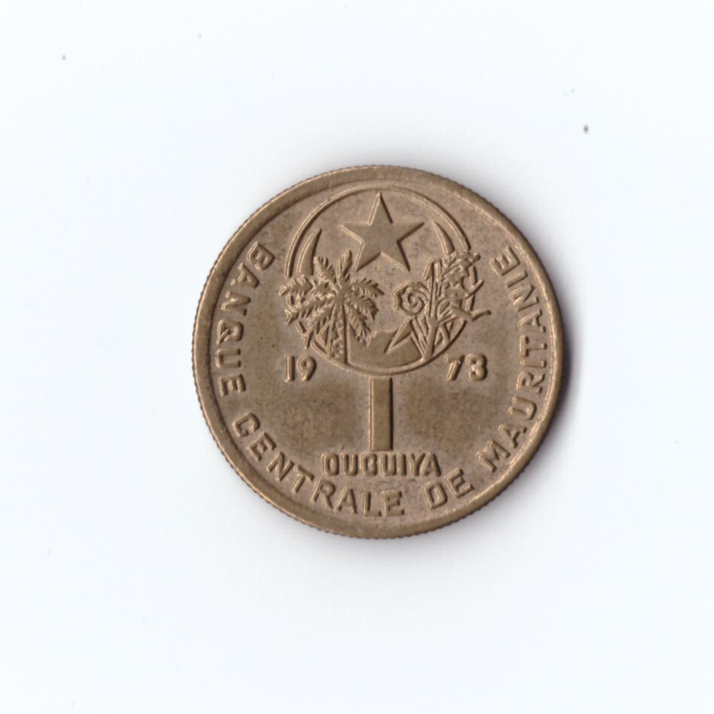 Мавритания 1 угия 1973 г XF-UNC