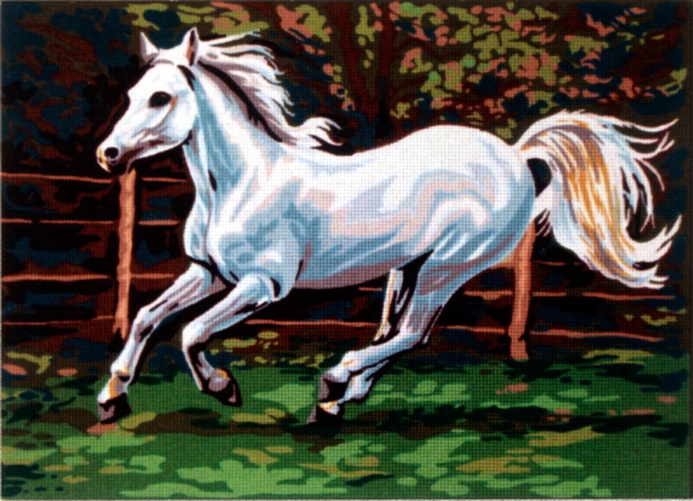 Рисунок для вышивания Soulos (канва жесткая), Галопом., 45х60 см