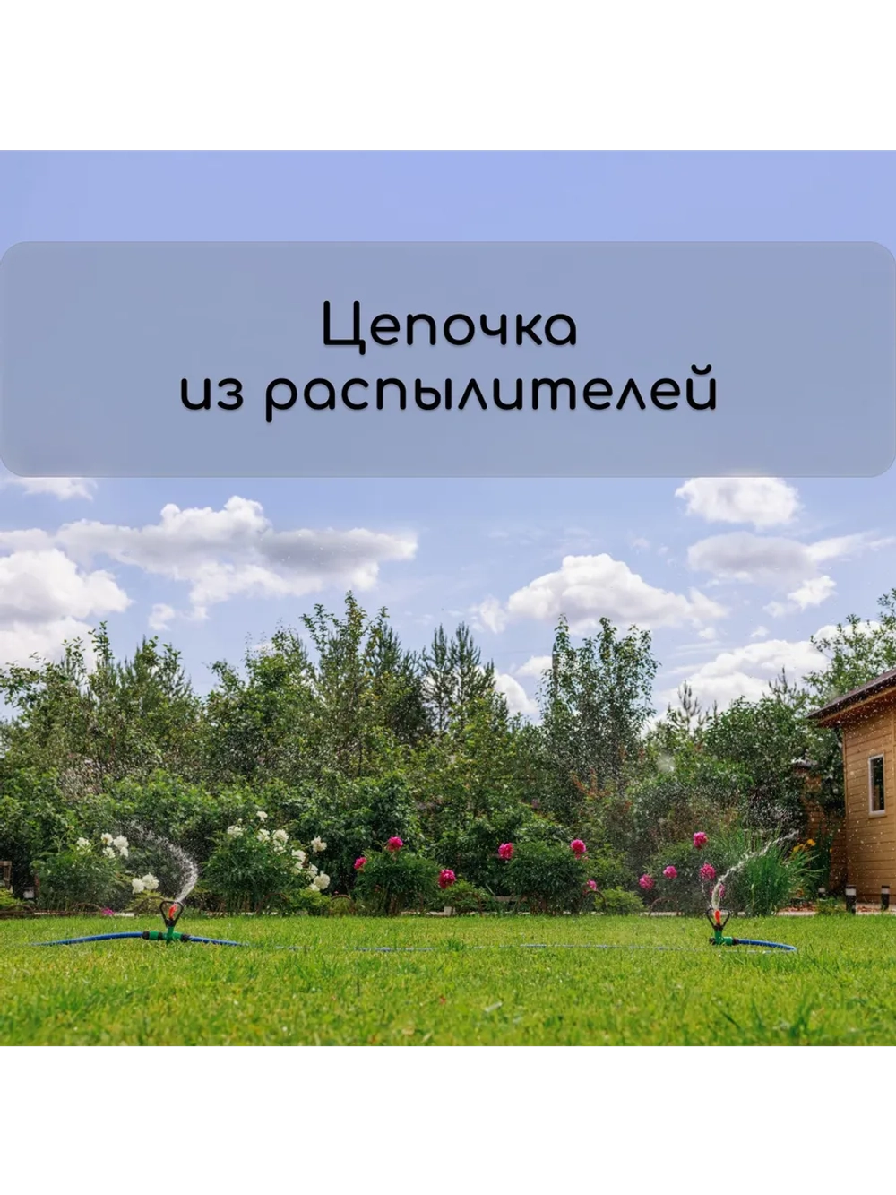 Распылитель для воды на шланг для полива лепестковый
