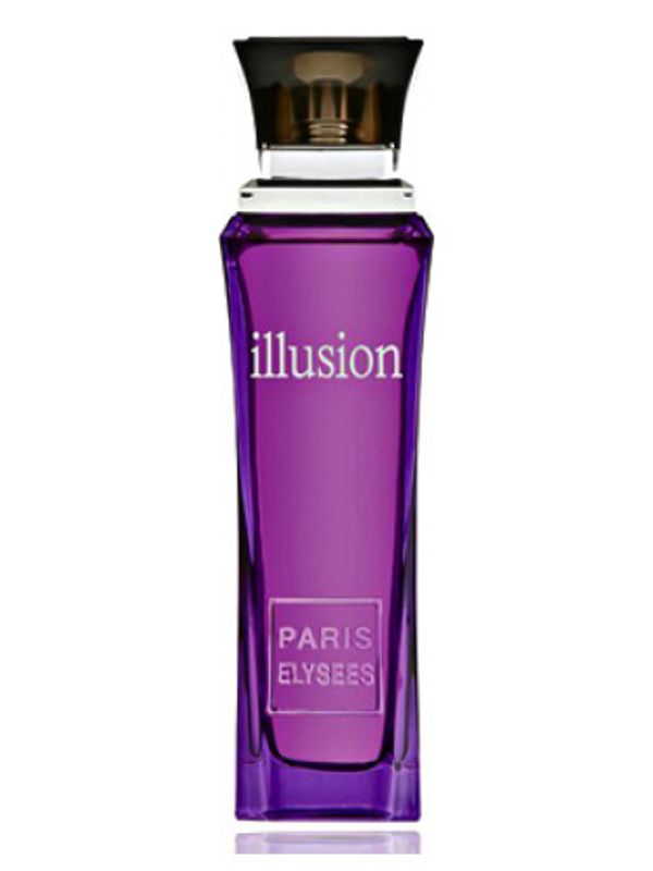 Paris Elysees Illusion
