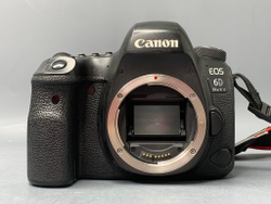 Canon 6D Mark II 21900 кадров