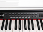 Medeli DP330