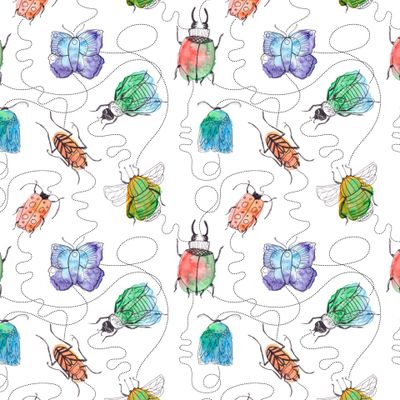 Insect