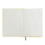 NIKA301d