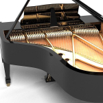 Kawai GX-5H M/PEP