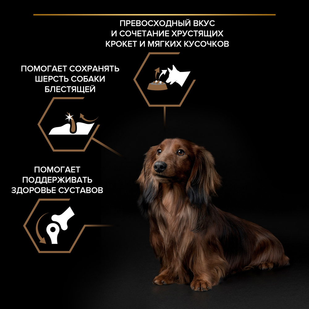 Сухой корм PRO PLAN DUO DELICE для взрослых собак мелких и карликовых пород говядина 700 г