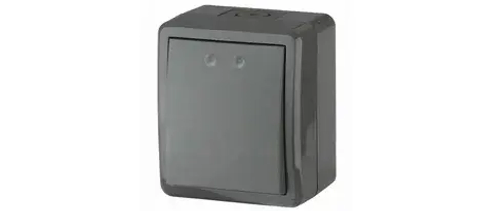 Переключатель IP54, 11-1403-03  ЭРА , 10АХ-250В, ОУ, Эра Эксперт, серый Б0020674
