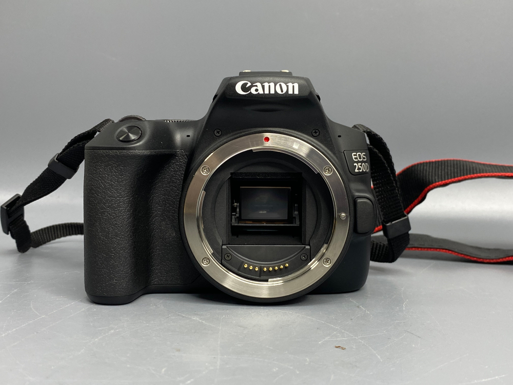 Canon 250D Kit 18-55mm 4-5.6 IS STM 1.000 кадров