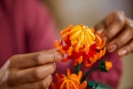 Конструктор LEGO Botanical Collection 10368 Хризантемы