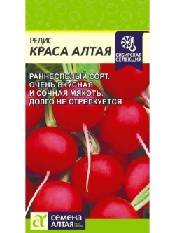 Семена Редис Краса Алтая