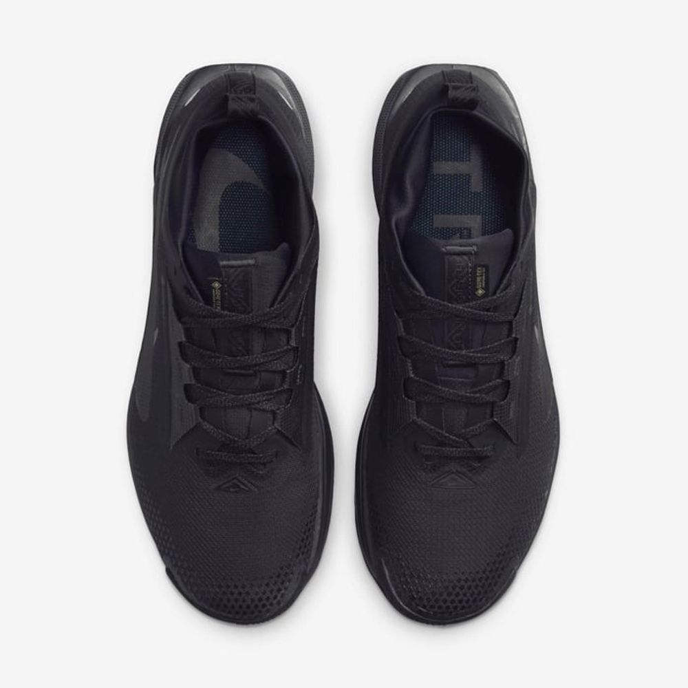 Кроссовки мужские NIKE Pegasus Trail 5 GORE-TEX
