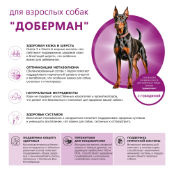 Корм сухой для взрослых собак породы Доберман, премиум полнорационный комплекс, с говядиной, 2,5 кг, QUATTRO