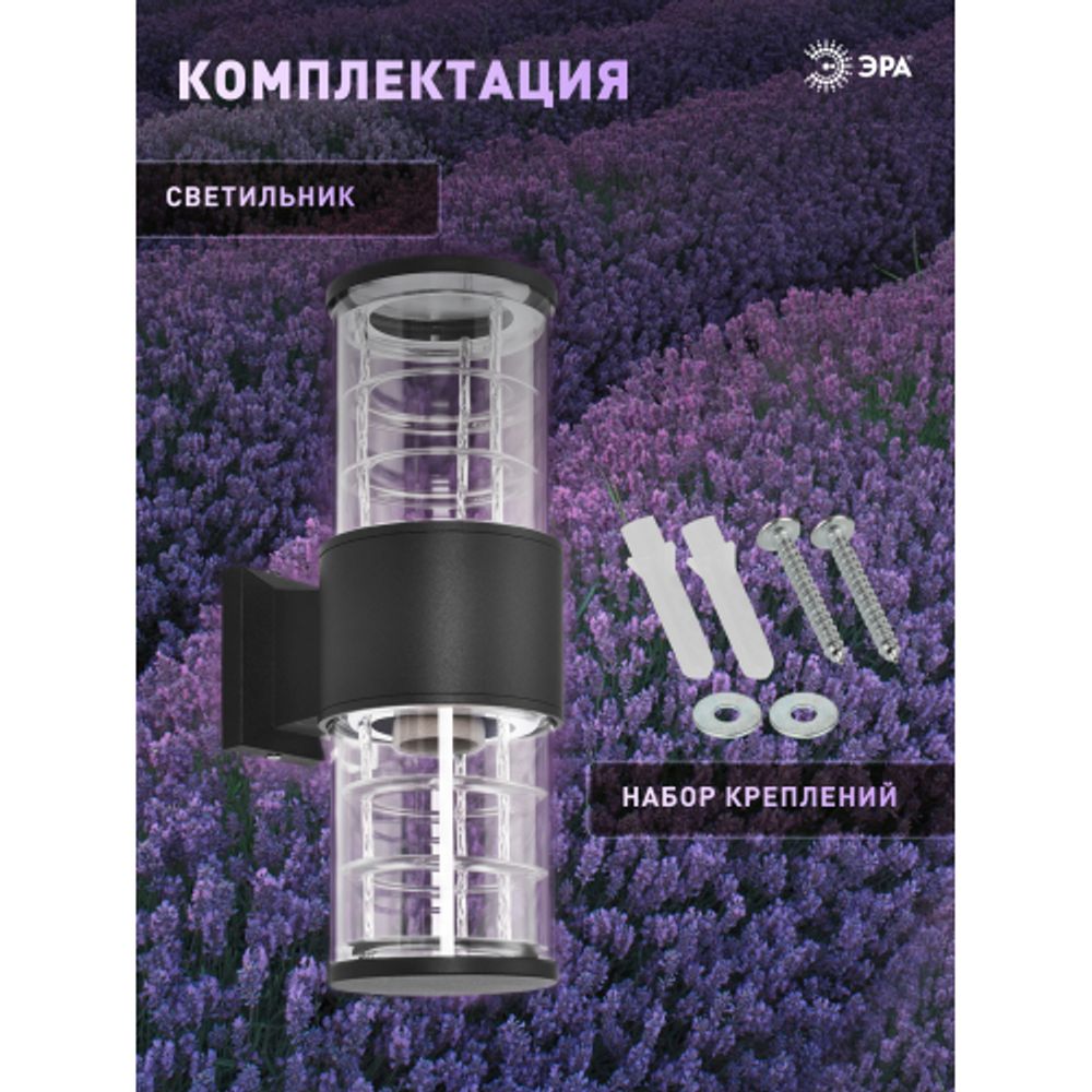 Светильник уличный настенный ЭРА «Асия» GBW-108-BL-0320 230В 2хЕ27 IP54 вверх/вниз черный | Садово-парковые светильники