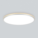 Потолочный светодиодный светильник Citilux NORMA CL748600