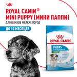 Royal Canin Mini Puppy Мини Паппи Корм сухой для щенков мелких пород в возрасте до 10 месяцев 800 г