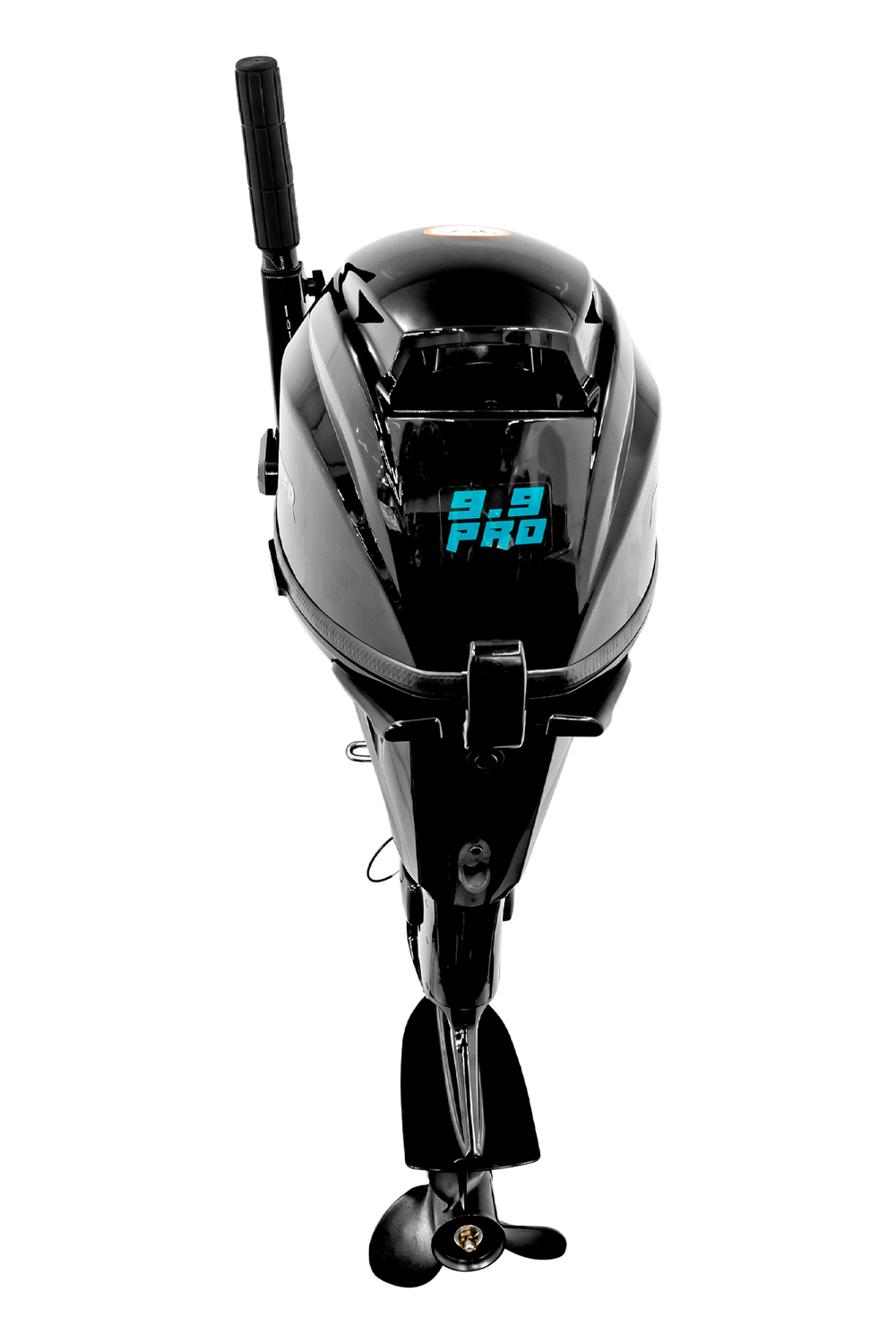 Лодочный мотор Reef Rider RRF9.9HS PRO 362 сс