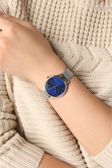 Наручные часы Skagen SKW2391
