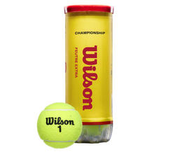 Теннисные мячи Wilson Championship Extra Duty 3B