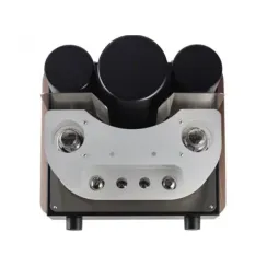 Mastersound Compact 300B Black Wood